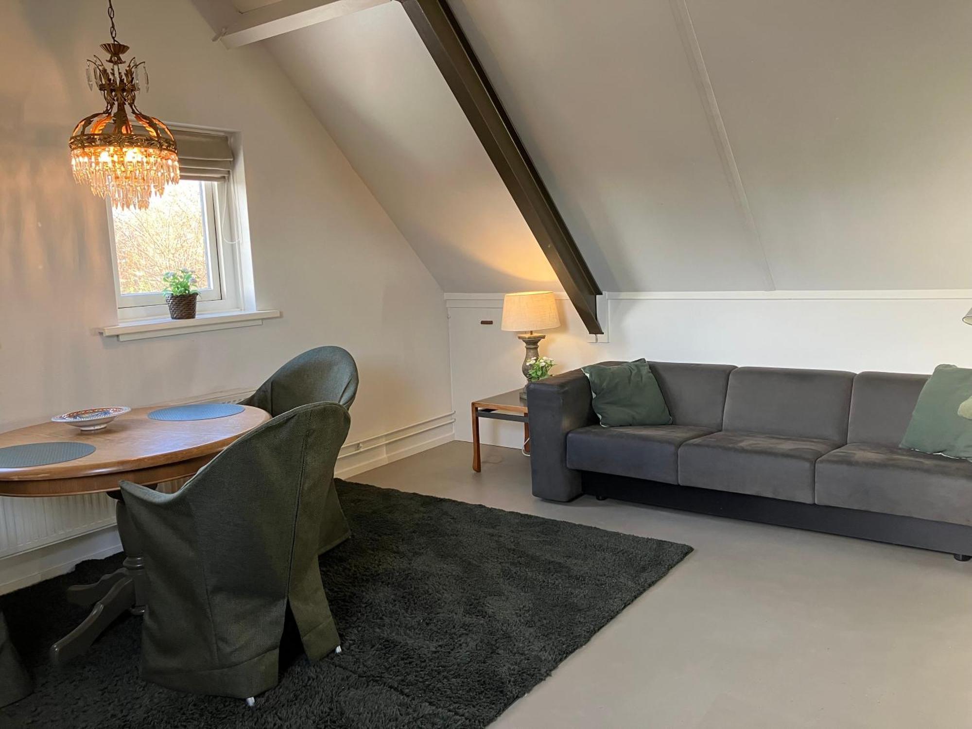 Appartement Ossegang Uithuizen エクステリア 写真